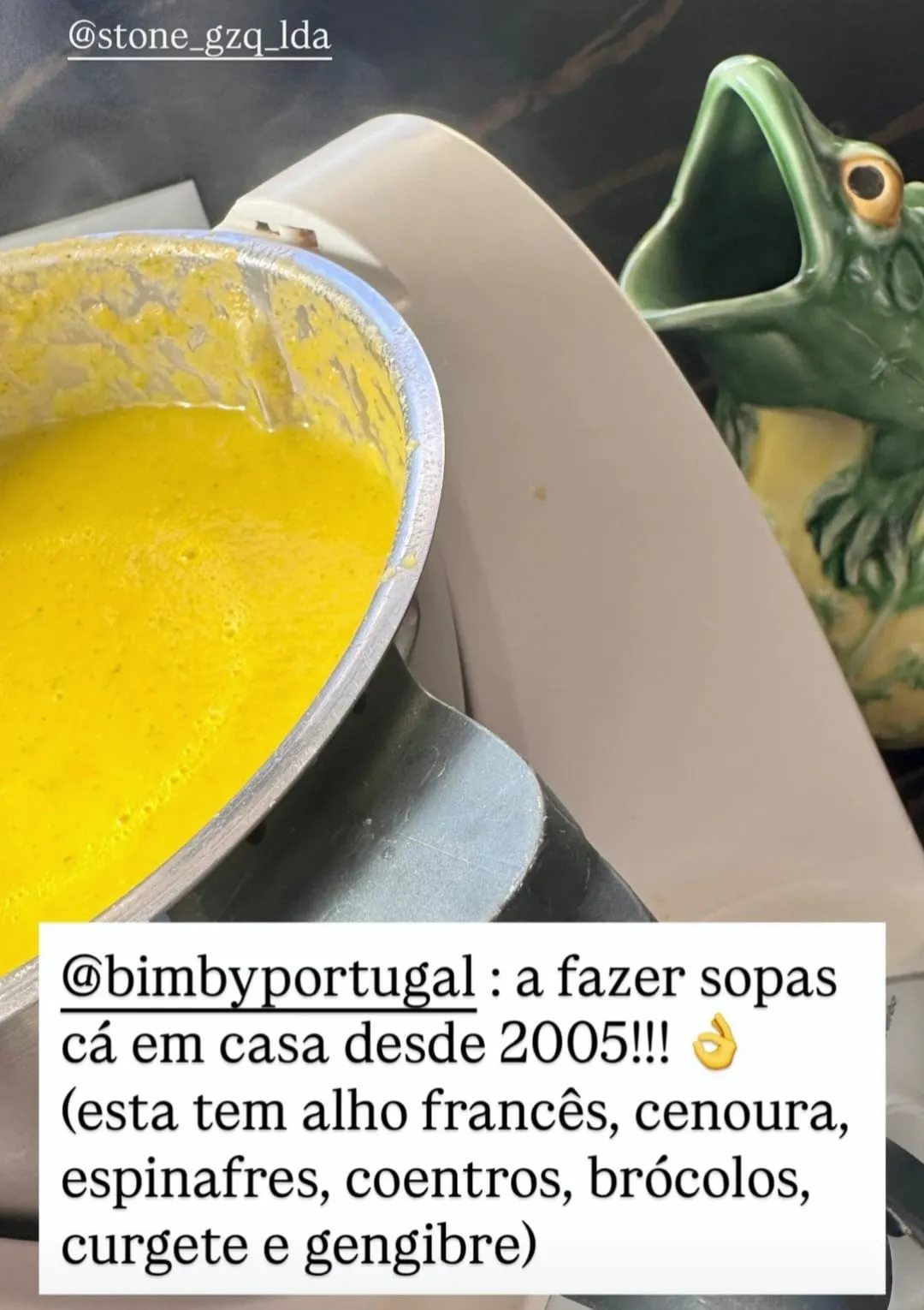 Sopa de alho francês, cenoura, espinafres, coentros, brócolos, curgete e gengibre